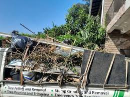 Professional Junk Removal in Schwenksville, PA